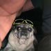 Dan Herbst - Facebook