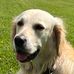 Dan Hermon - Facebook