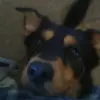danielherndon741 - @danielherndon741 - TikTok