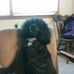 Dan Herrin - Facebook