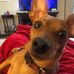 Danny Herrin - Facebook
