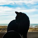 Dan Herzberg - @danherzberg_ - Instagram