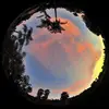 dan - @herzigdan - TikTok