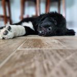 Dan Herzog - @danherzog21 - Instagram