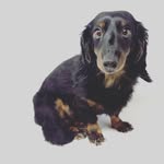 Dan Hession - @dhesh00 - Instagram