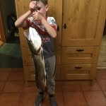 Dannyhession - @dannyhession - Instagram