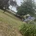 Dan Heaton - Facebook