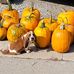 Dan Hettinger - Facebook