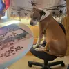 Dan Heuer - @dan.heuer - TikTok