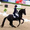 Dana Hewett Dressage - @dana.hewett.dressage - TikTok