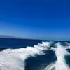 dannyhewett711 - @dannyhewett711 - TikTok