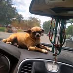 Dan Hieronymus - @azdth1957 - Instagram