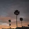 Dan Hilbert - @dan.hilbert4 - TikTok