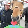 danhilbertsson - @danhilbertsson - TikTok