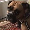 daniellehilborn - @daniellehilborn - TikTok