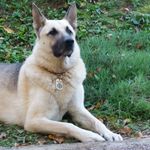 Dan Hiller - @superchiefdan - Instagram