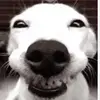 Dan Hilliard - @dantheman0987123 - TikTok