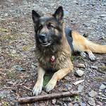 Dan Himes - @gunnersepicadventues - Instagram