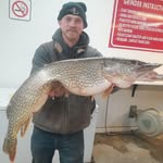 Dan Hinz - @danhinz437 - Instagram