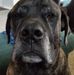 Dan Hinz - Facebook