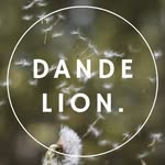 DANDELION DRESS HIRE - @dandelion.dresshire - Instagram