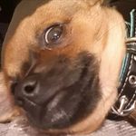 Dan Hitchcock - @danh_327 - Instagram