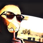 Dan Hixson - @danhixson - Instagram