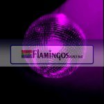Flamingos Dance Bar - @flamingosdancebarhobart - Instagram