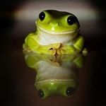 Dan Hobson - @dan.hobson.858 - Instagram