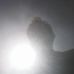 Daniel Hoch - Facebook