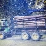 Daniel Hochberger - @hochbergerdaniel - Instagram