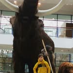 daniel - @_.dan.hochman._ - Instagram
