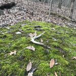 Dan Hodapp - @hodapp.dan - Instagram