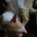 Dano Hakk - Facebook