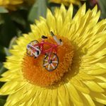 Dan Hoffman - @danhoffmanglass_backup - Instagram