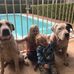 Daniel Holgate - Facebook
