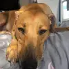 danny holgate - @danny.holgate - TikTok