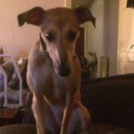 Danny Holgate - @holgate.danny - Instagram