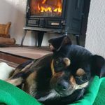DANSTEIN - @dan.holgate - Instagram