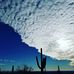 Dan Hollowell - Facebook