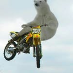 Dan_holohan14 - @daniel_holo13 - Instagram