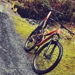 daniel holohan - @holohan.dan16 - Instagram