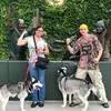 Dan Holstead - @danholstead - TikTok