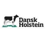 Dansk Holstein - @danskholstein - Instagram