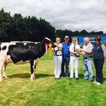 Jim Mulhall - @danville.holsteins - Instagram