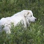 Dan Holte - @holtedan - Instagram