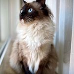 Dane Holtsclaw - @daneholtsclaw - Instagram