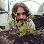 Gardener Dan - @dan_homegardens - Instagram