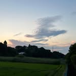 dan honda - @dan_hondy - Instagram