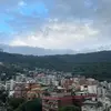 dan honda - @butapig256 - TikTok